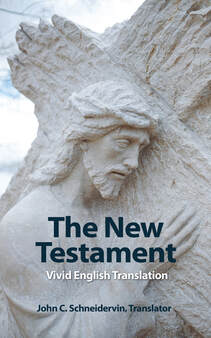 Picture Vivid English Translation of The New Testament Cover